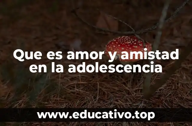 Que es amor y amistad en la adolescencia