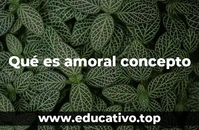 Qué es amoral concepto