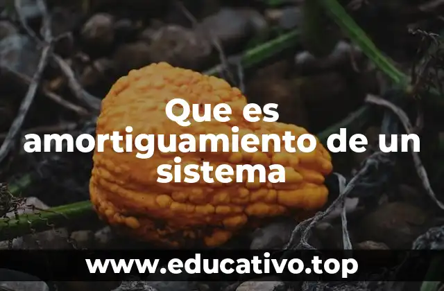 Que es amortiguamiento de un sistema