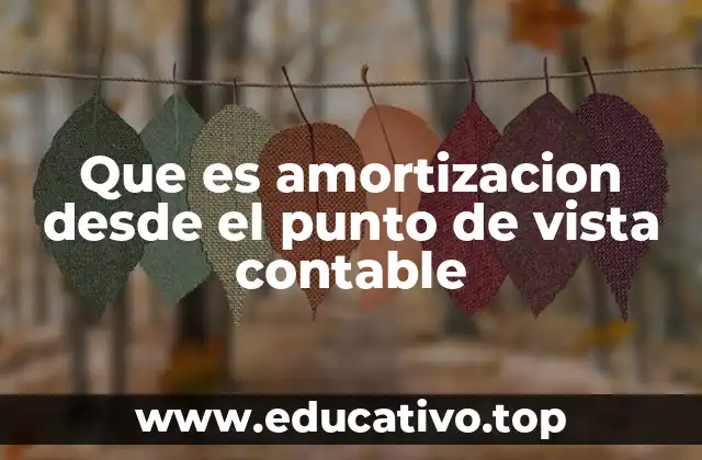 Que es amortizacion desde el punto de vista contable