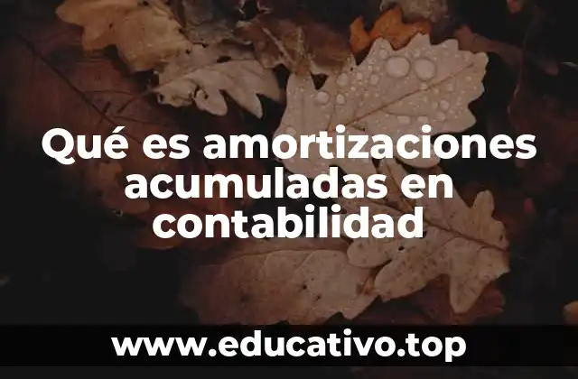Qué es amortizaciones acumuladas en contabilidad