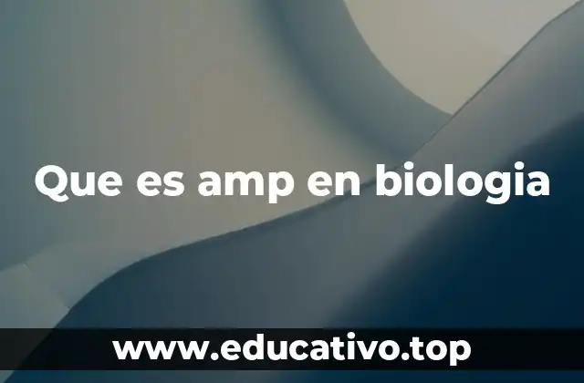 Que es amp en biologia