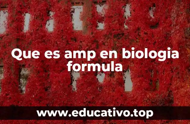 Que es amp en biologia formula