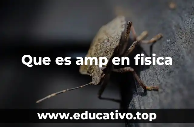 Que es amp en fisica