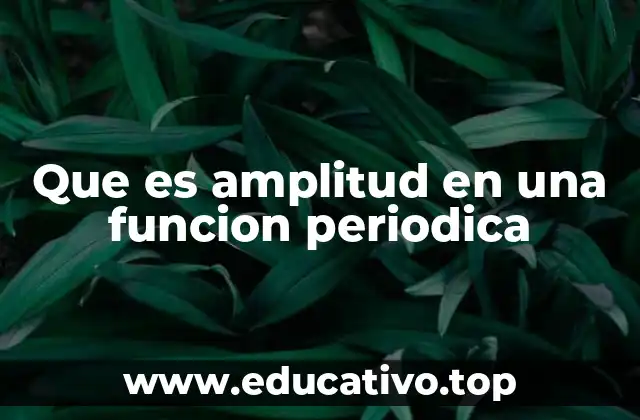 Que es amplitud en una funcion periodica