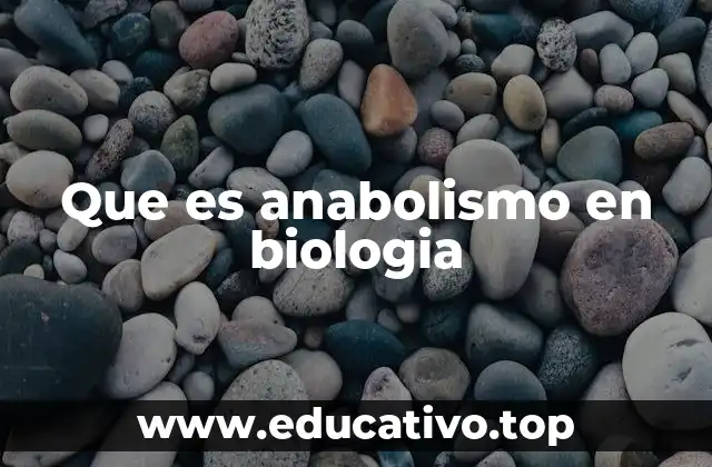 Que es anabolismo en biologia
