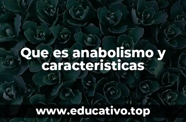 Que es anabolismo y caracteristicas