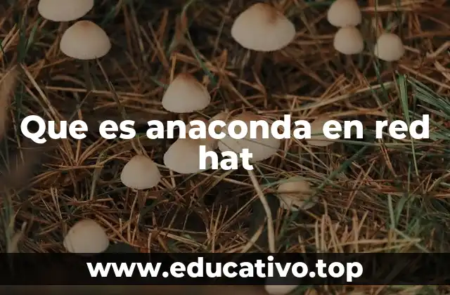 Que es anaconda en red hat