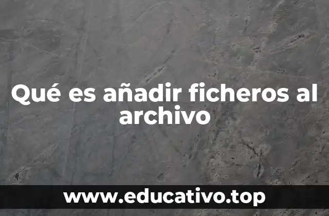 Qué es añadir ficheros al archivo