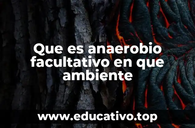 Que es anaerobio facultativo en que ambiente