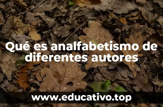 Qué es analfabetismo de diferentes autores