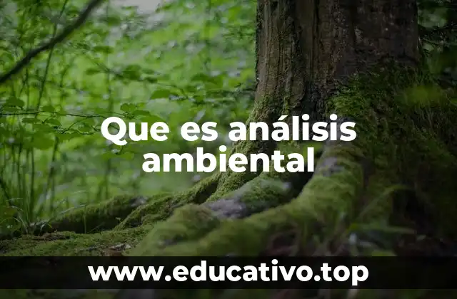 Que es análisis ambiental