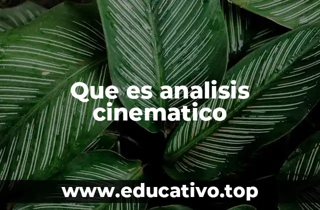 Que es analisis cinematico