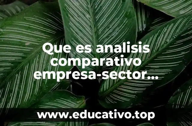 Que es analisis comparativo empresa-sector contabilidad