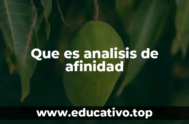 Que es analisis de afinidad