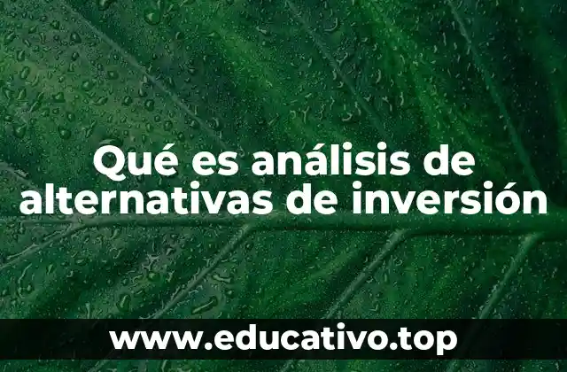 Qué es análisis de alternativas de inversión