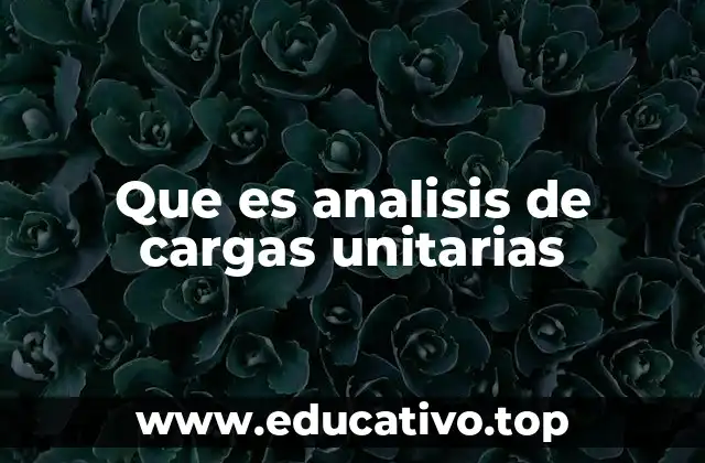 Que es analisis de cargas unitarias