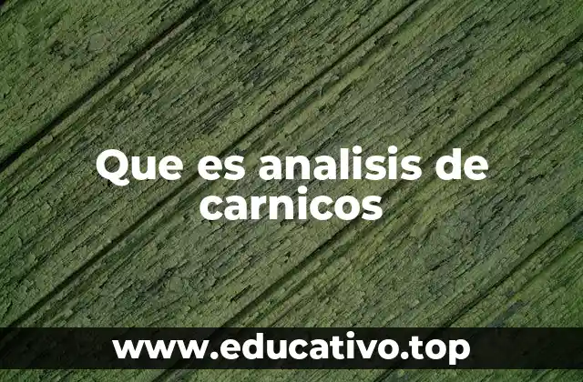 Que es analisis de carnicos
