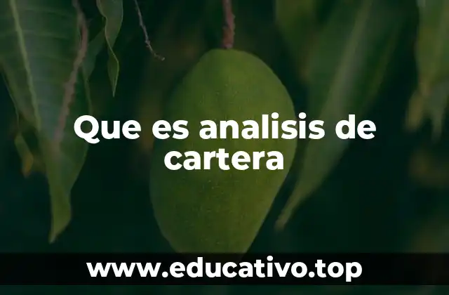 Que es analisis de cartera