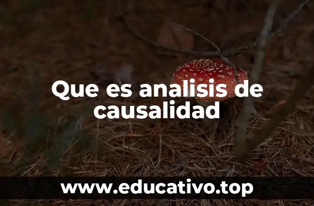 Que es analisis de causalidad