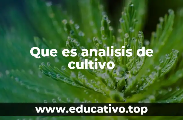Que es analisis de cultivo