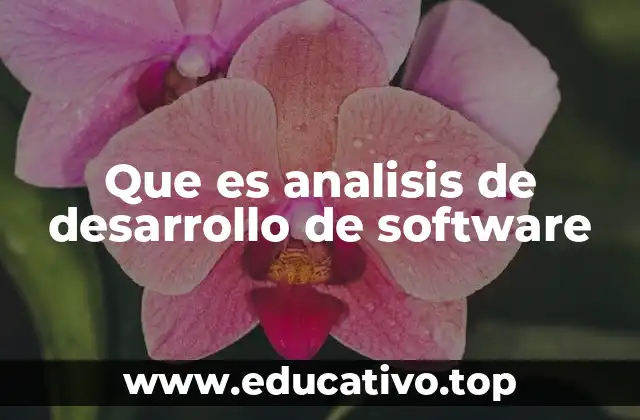 Que es analisis de desarrollo de software