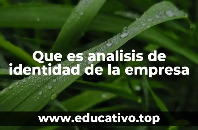 El proceso de autoconocimiento empresarial