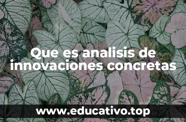 Que es analisis de innovaciones concretas