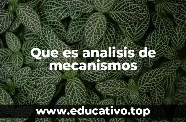 Que es analisis de mecanismos