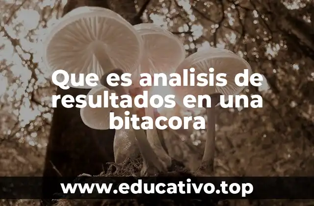 Que es analisis de resultados en una bitacora
