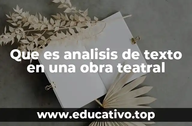 Que es analisis de texto en una obra teatral