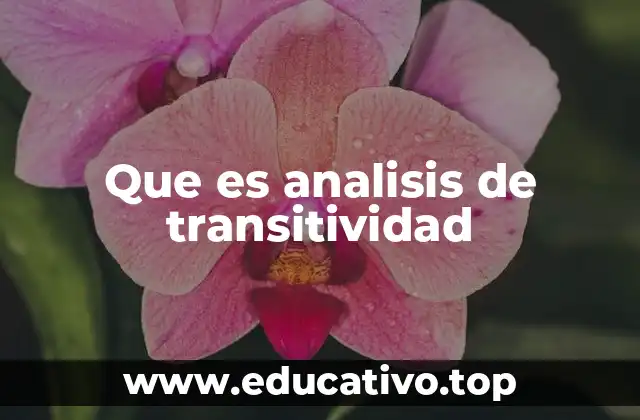 Que es analisis de transitividad