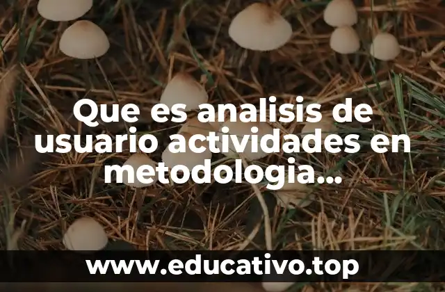 Que es analisis de usuario actividades en metodologia arquitectura