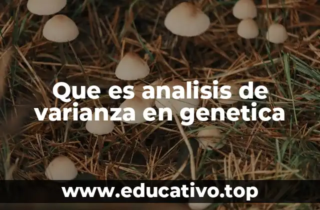 Que es analisis de varianza en genetica