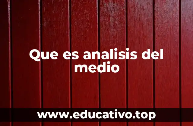 Que es analisis del medio