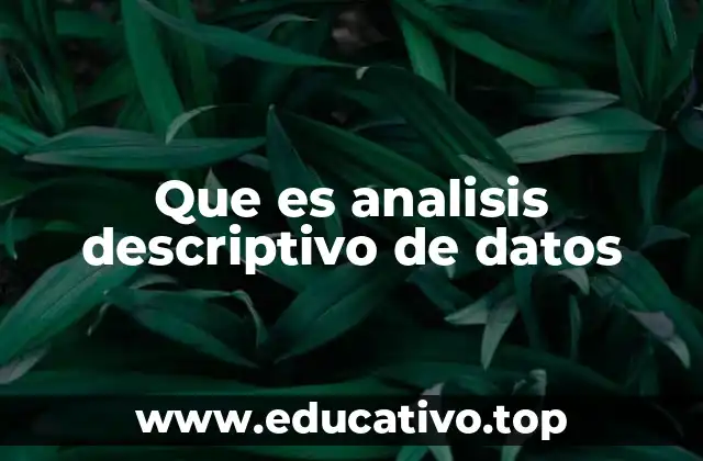 Que es analisis descriptivo de datos