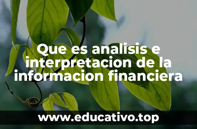 Que es analisis e interpretacion de la informacion financiera