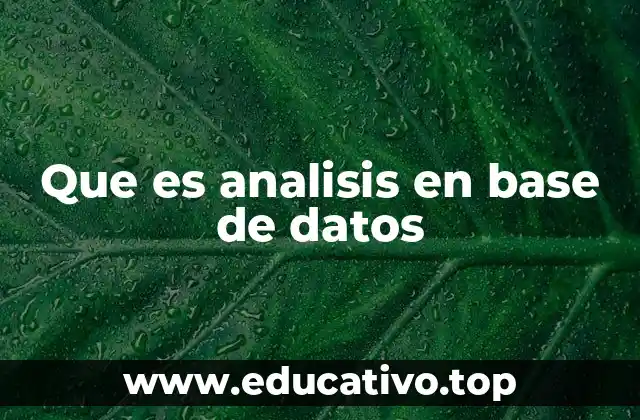 Que es analisis en base de datos