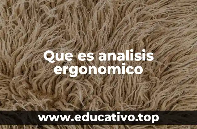 Que es analisis ergonomico