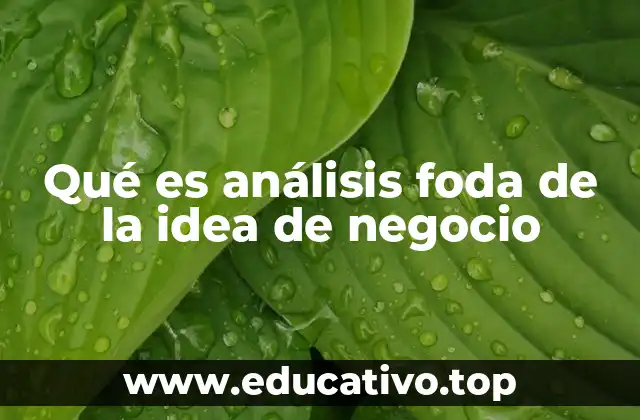 Qué es análisis foda de la idea de negocio