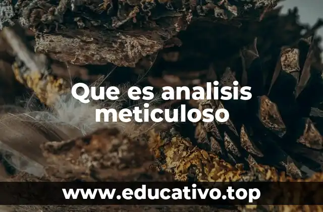 Que es analisis meticuloso