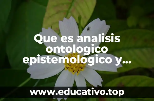 Que es analisis ontologico epistemologico y sociohistorico