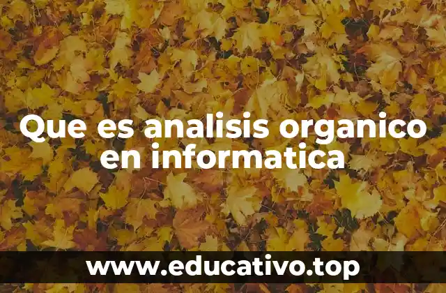 Que es analisis organico en informatica