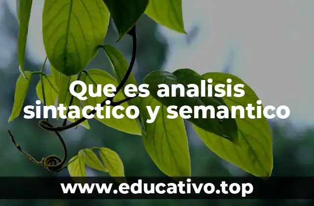 Que es analisis sintactico y semantico