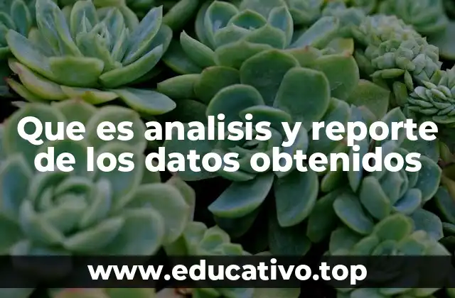 Que es analisis y reporte de los datos obtenidos