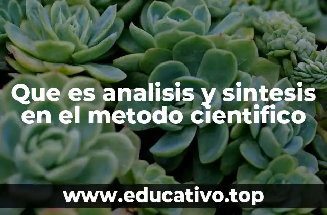 Que es analisis y sintesis en el metodo cientifico