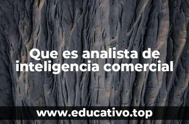 Que es analista de inteligencia comercial