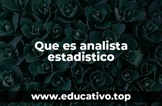 Que es analista estadistico