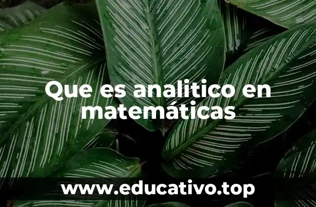 Que es analitico en matemáticas