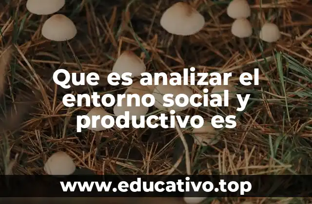 Que es analizar el entorno social y productivo es